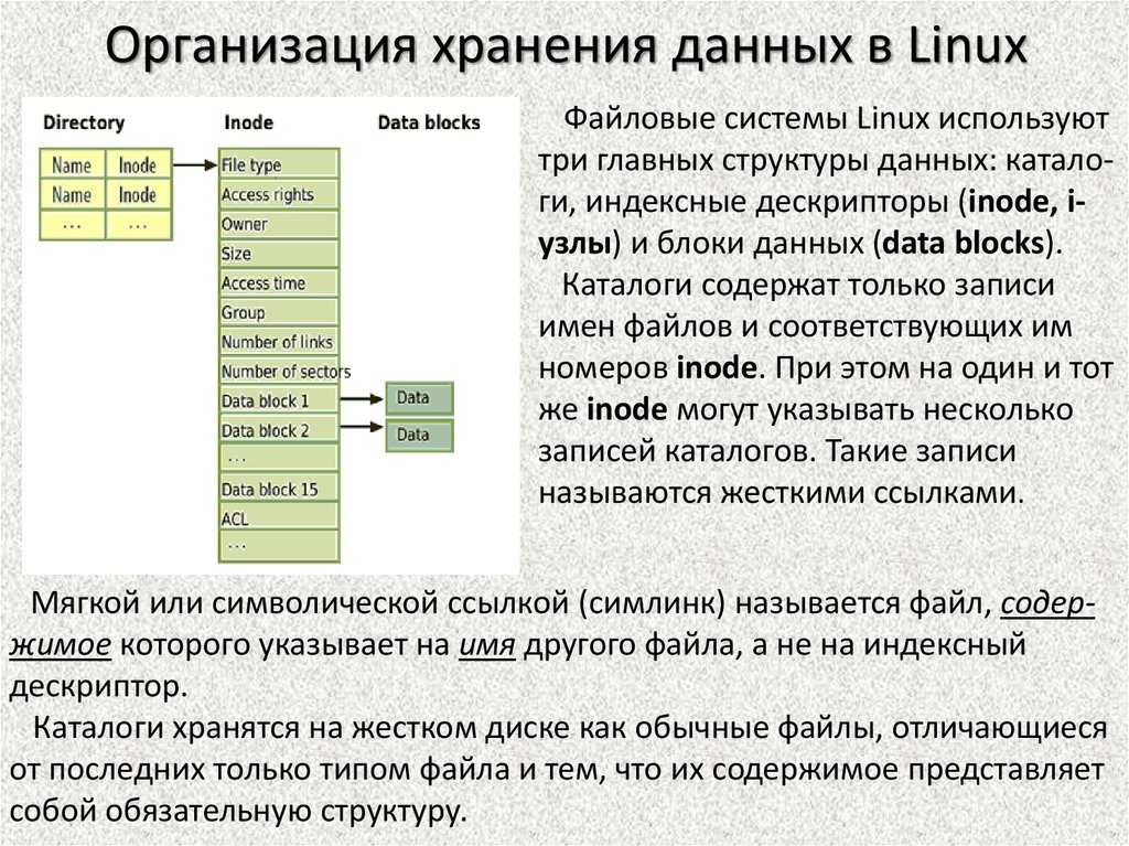 Команда chmod в linux (права доступа к файлам) - команды linux