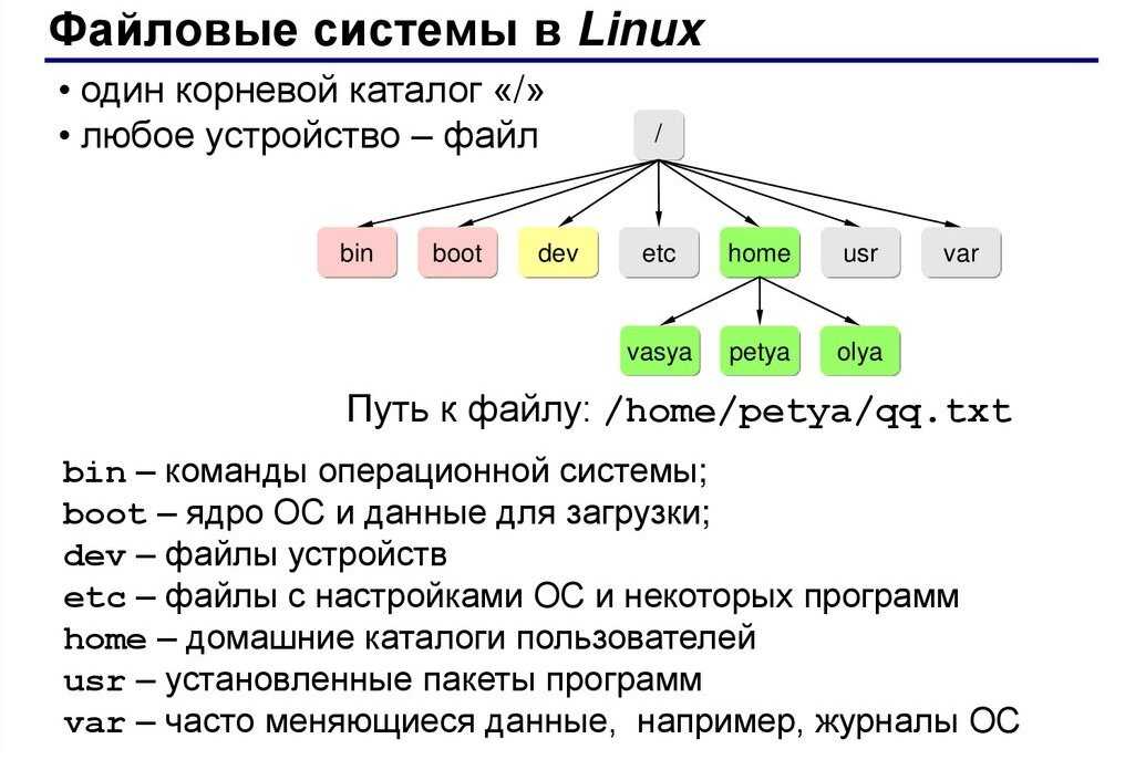 Для чего нужна каждая папка (директория) в linux | unlix