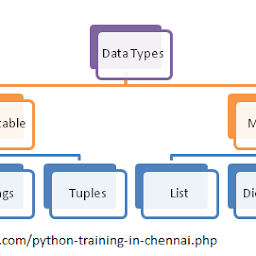 Все основные типы данных python: определение, как узнать и проверить на примерах