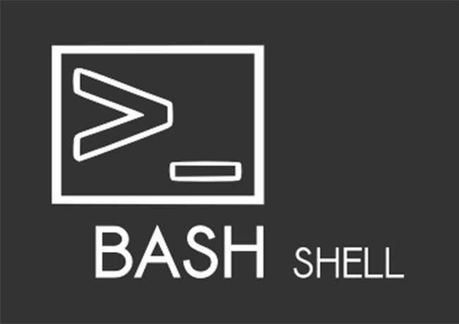 Bash — #! /bin /bash - нет такого файла или каталога