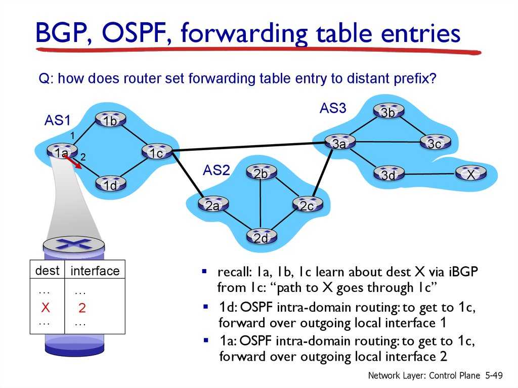 Networking — в чем разница между bgp и ospf?