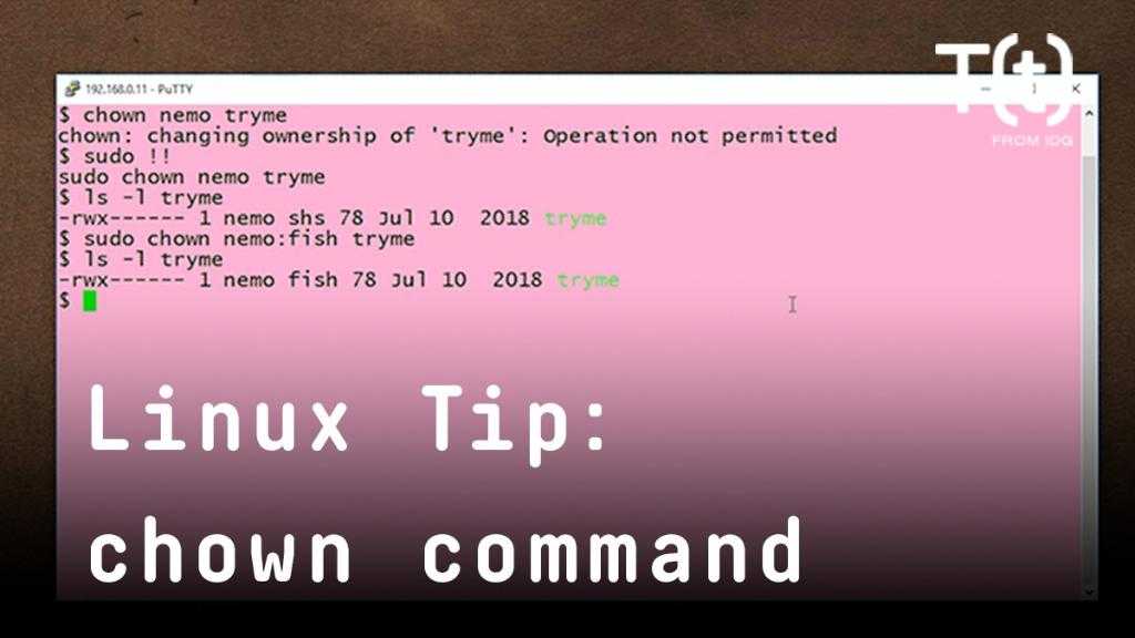 Command-line - как мне запустить .sh файлы?