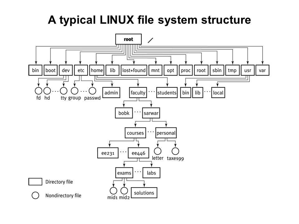 Работа с файловой системой linux - losst