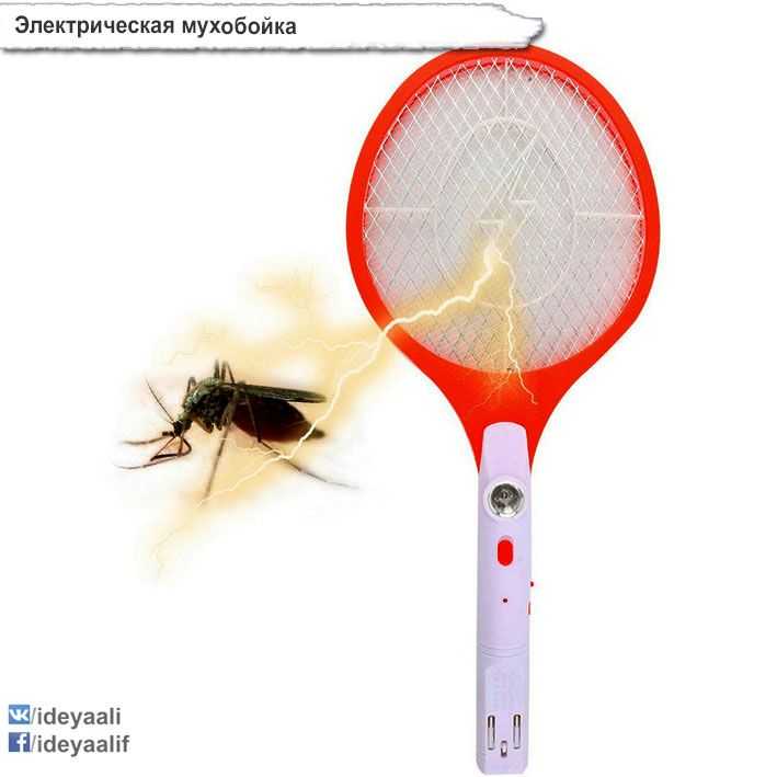 12 быстрых способов как избавиться от мух в 2021 году в домашних условиях
