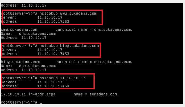 Как поменять dns-сервер для домена, как изменить или указать и прописать днс сервер?