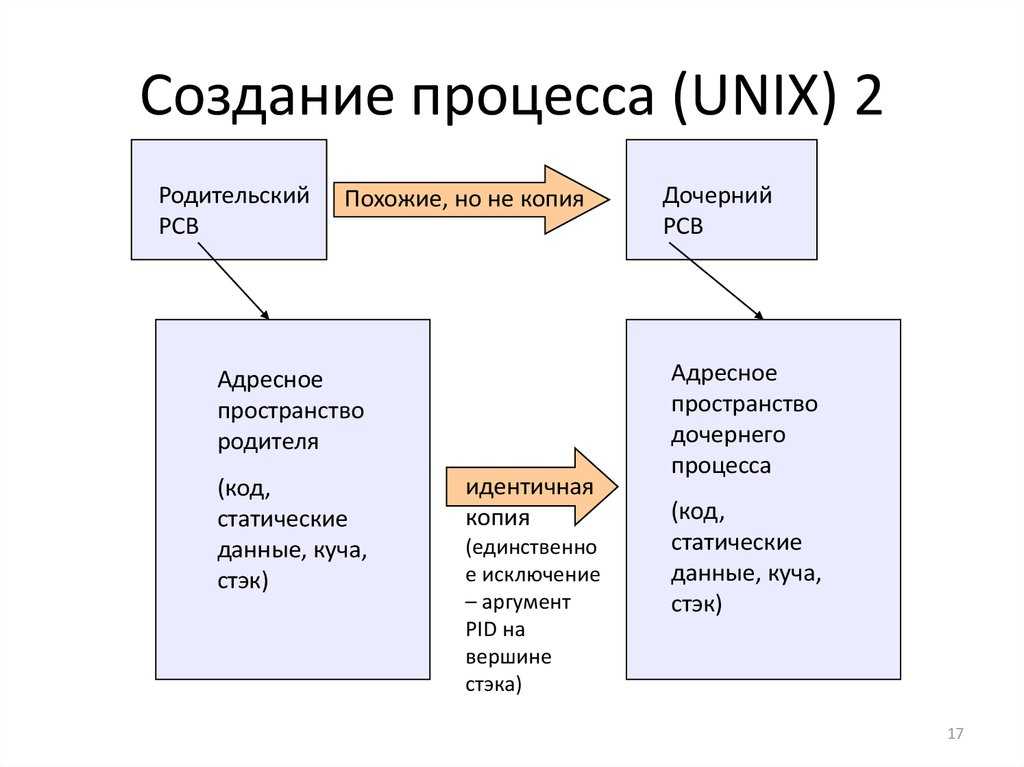 Работа с процессами в linux