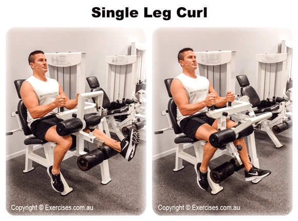 Curl port. Single-Leg Leg Curl. Curl method салон. Inverse Leg Curl. Stanfing Leg Curl.