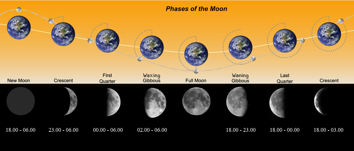 Луна – описание, характеристика, 50 интересных фактов о луне!