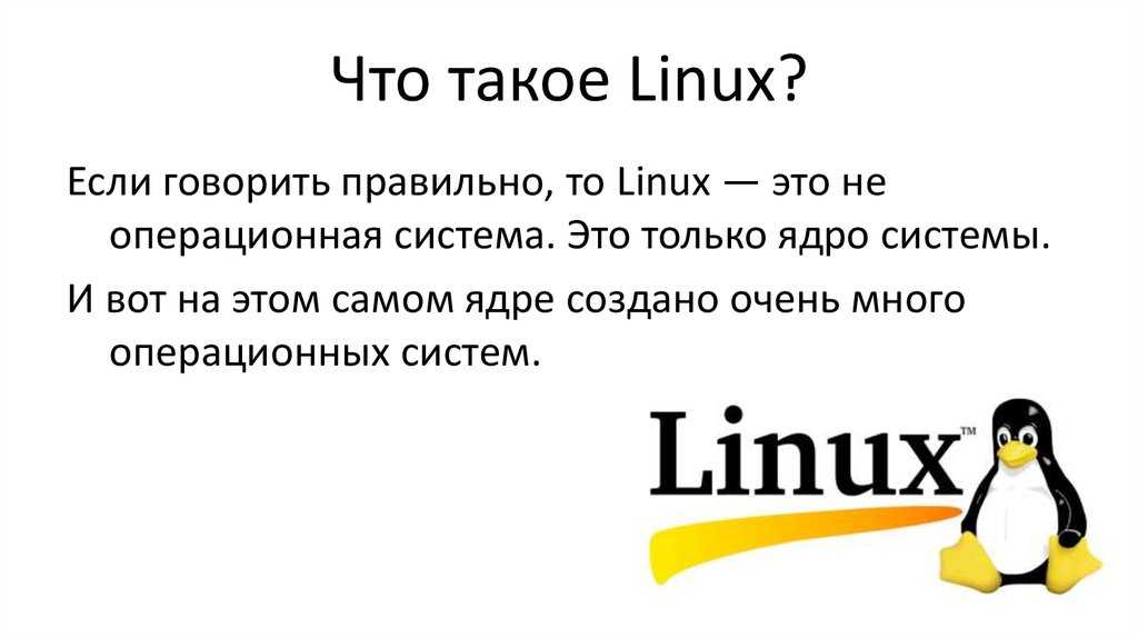 Разработчики: ядро linux слишком «дырявое», его нужно переписать с нуля - cnews