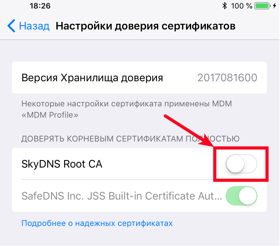 Доверие айфон. Сертификат безопасности на iphone. Где сертификаты на iphone. Доверять сертификатам на айфоне. Iphone добавить сертификат.