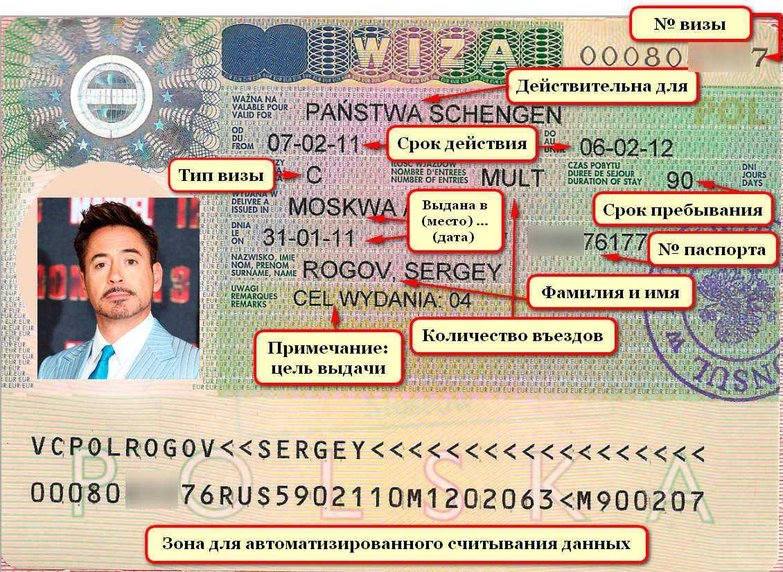 Что такое шенген? шенгенская виза как пропускной билет