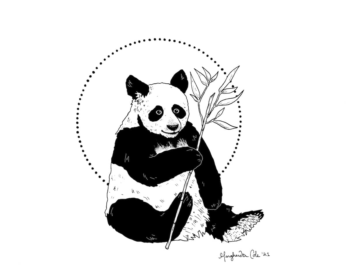 Pandas dataframe loc [] для доступа к группе строк и столбцов