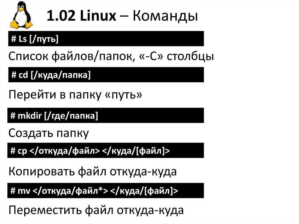 Как запустить командную строку в линукс