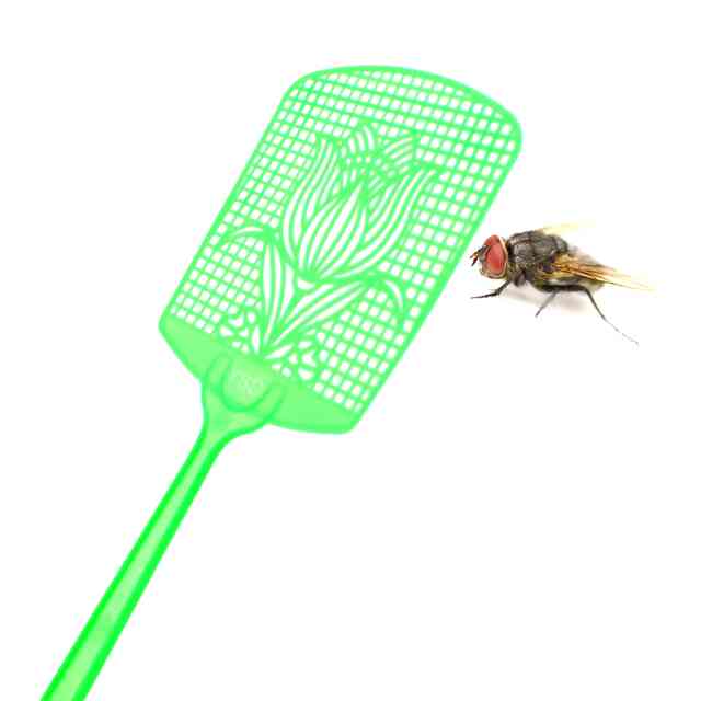 Как избавиться от мух в доме: эффективные способы, народные средства, видео