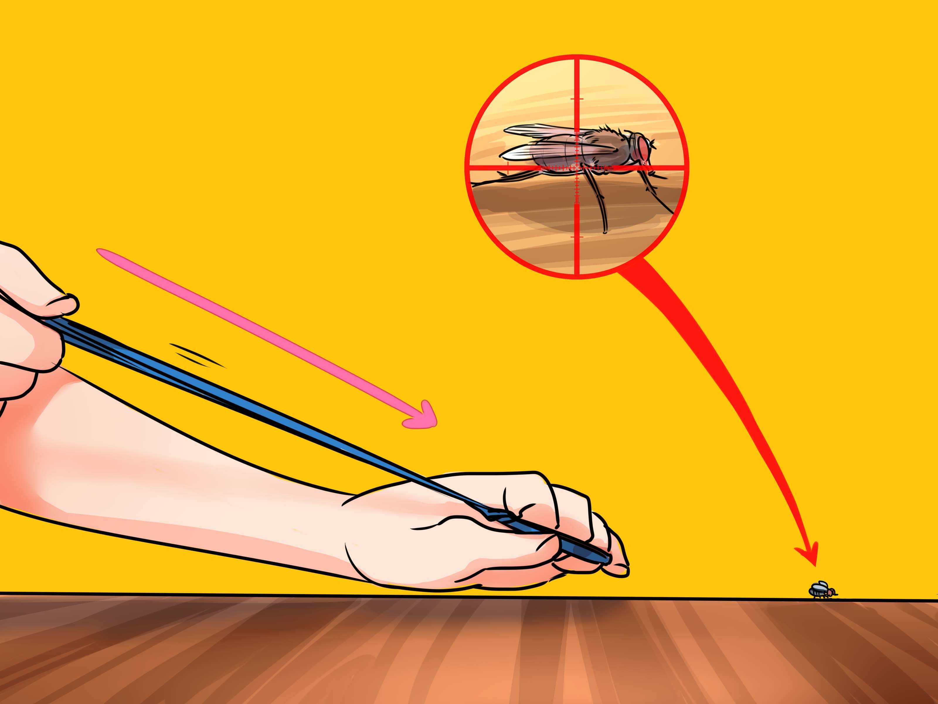 Как поймать муху в комнате: 5 проверенных способов