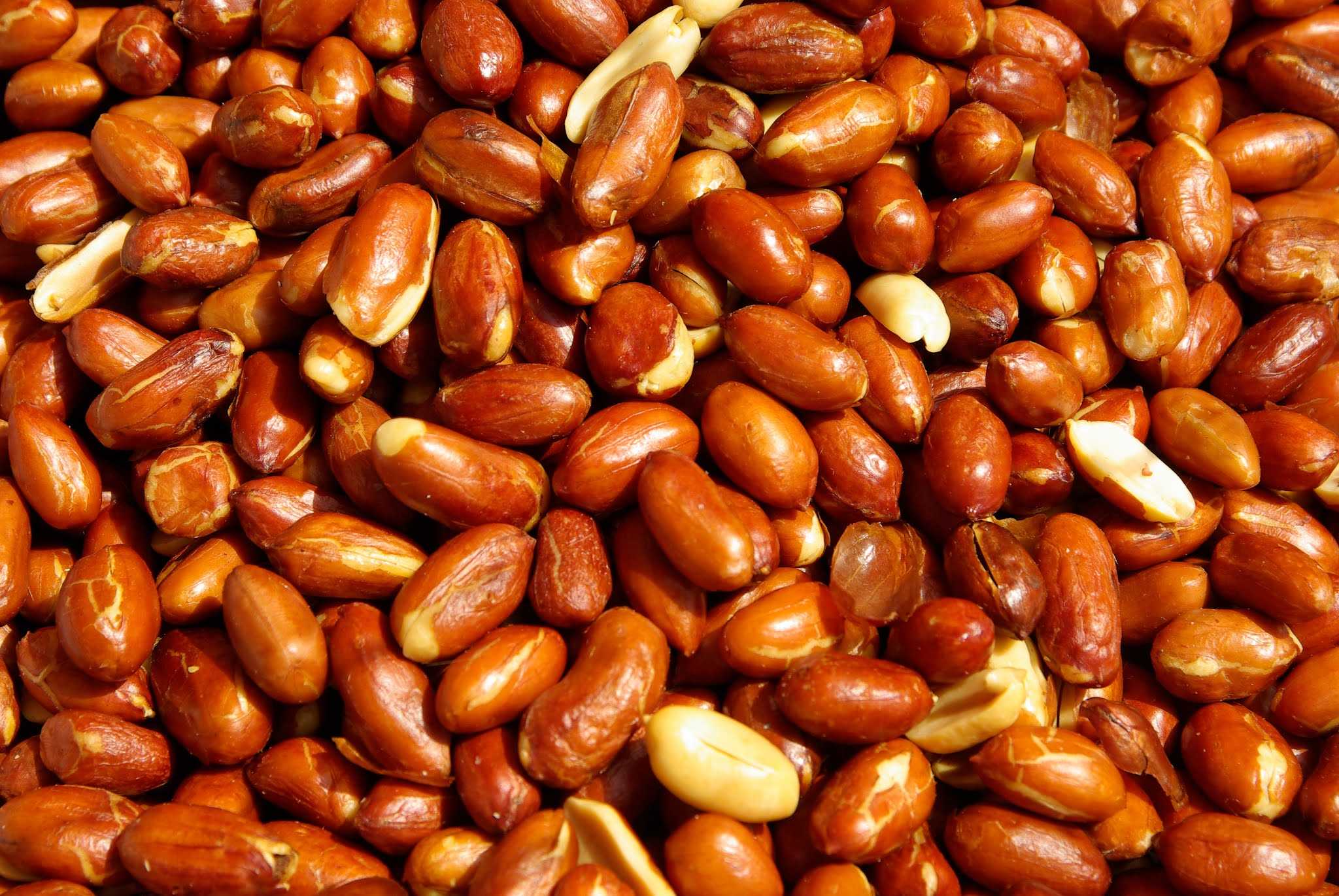 🍀 10 рецептов, как жарить арахис в скорлупе, с солью и сахаром