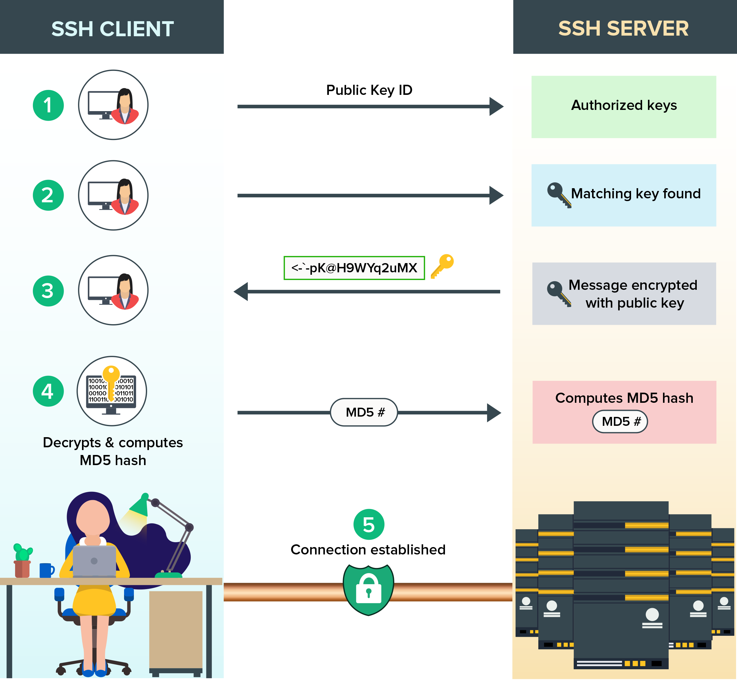 Настройка ssh авторизации по ключам