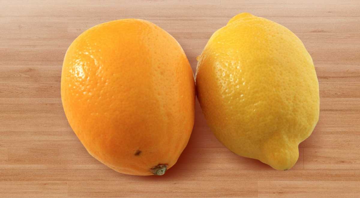 Как надолго сохранить лимоны свежими: секреты правильного обращения с цитрусами в домашних условиях
