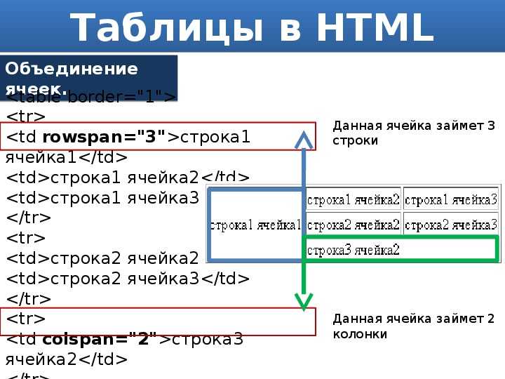 Таблицы в html. css-стили для таблиц